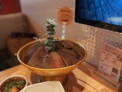 -巴奴毛肚火锅(七宝领展广场店)