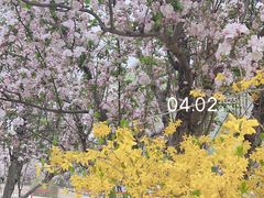 -海棠花溪(元大都城垣遗址公园)