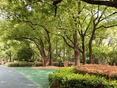 -徐家汇源景区-衡山公园