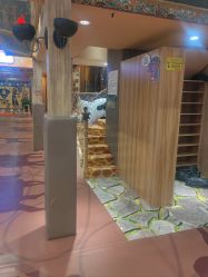 -卡通尼·Safari非洲探索乐园·生日会(金桥国际商业广场店)