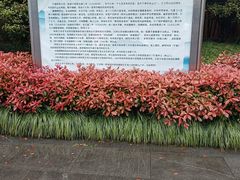 -阿育王寺