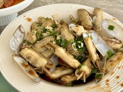 -魚當家