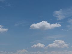 -青藏高原野生动物园