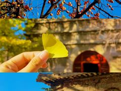 -北京石刻艺术博物馆(五塔寺)