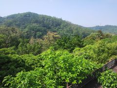 -东莞市大岭山森林公园