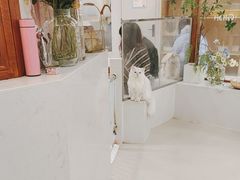 -共舞时光猫咖·狗咖(新街口店)