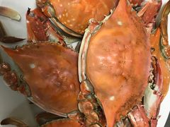 野生梭子蟹-宏源鑫海鲜餐厅·海景婚宴厅(石老人店)