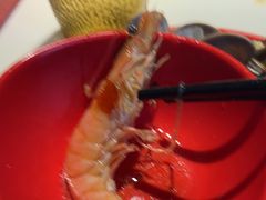 -京悦南门涮羊肉·羊蝎子火锅(田林路店)