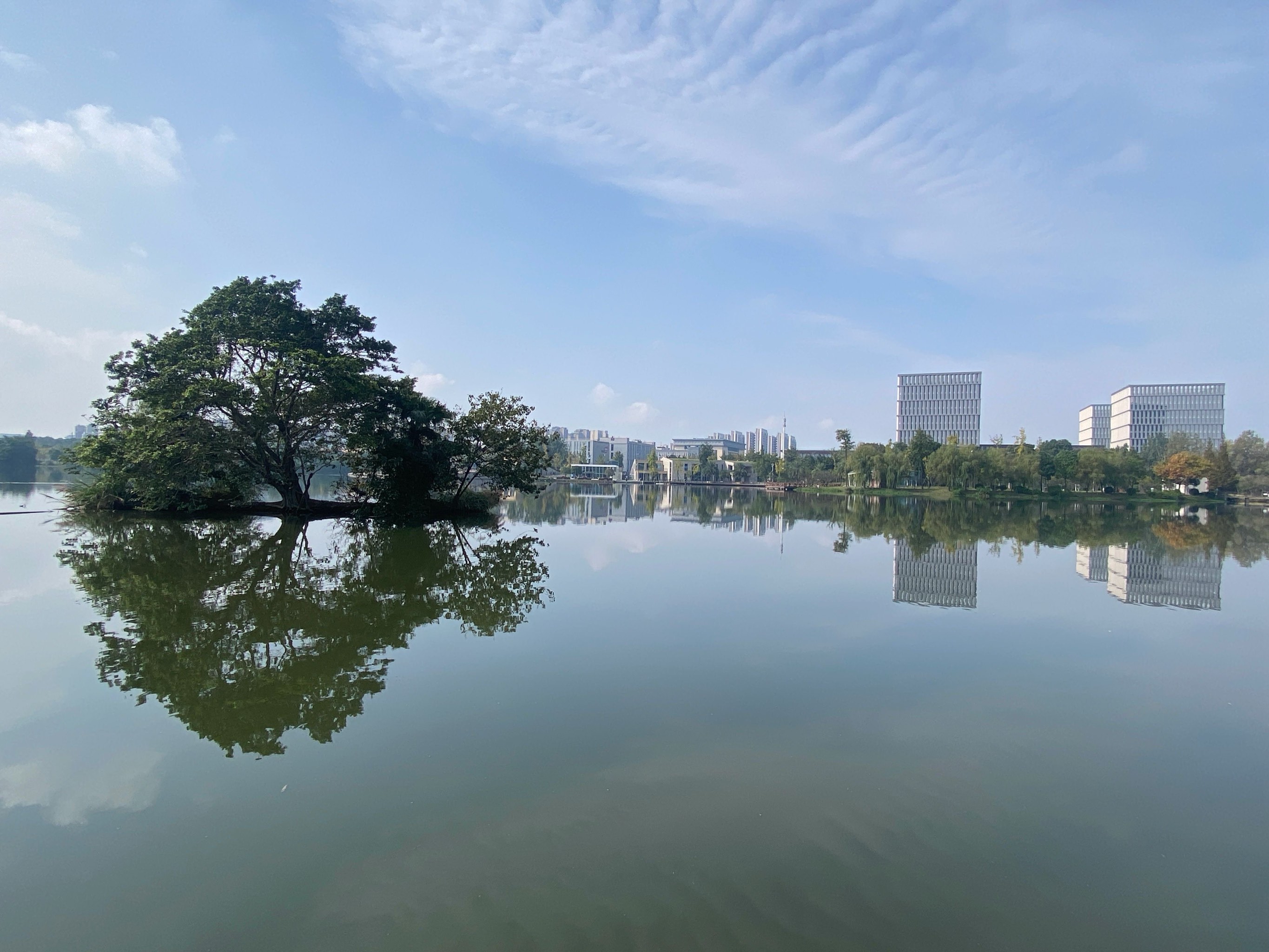 双流兴城打造杨柳湖图片