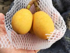 -上海龙吴水胜海发市场