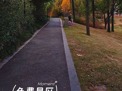 -美兰湖景区