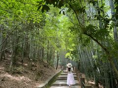 -敬亭山风景名胜区