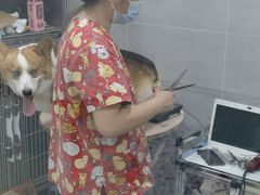-宠福鑫康馨动物医院·骨科·眼科