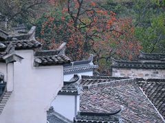 -塔川景区
