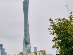 -小茶闲舍·观景商务茶馆(广州塔店)