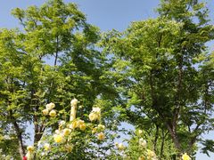 -上海山野camping·户外天幕烧烤·团建拓展营地