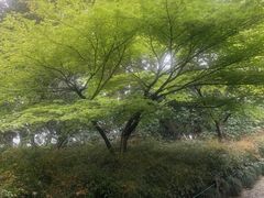-西湖游船