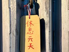 -洪馨椰子