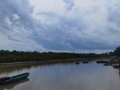 -东寨港红树林旅游区