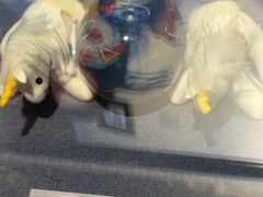 -张学良旧居陈列馆