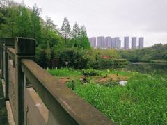 -重庆彩云湖湿地公园