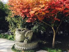 -活水公园