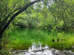 -叠溪松坪沟景区