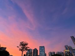 -二沙岛艺术公园