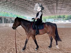 -名驭国际马术学院