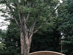 -井之头恩赐公园