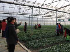 -上膳源有机农场