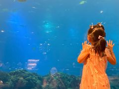 -涛·海底餐厅·美人鱼·自助餐·海底隧道(三亚海棠湾洲际度假酒店)