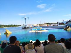 -秦皇岛乐岛海洋王国