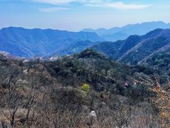 -大岭沟猕猴桃谷风景区
