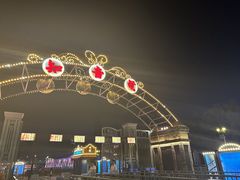 -武汉知音号