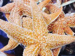 -大锅强·蒸海鲜青岛菜(吾悦广场店)