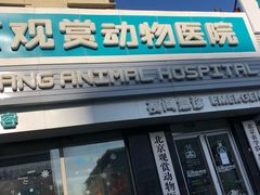 店面-北京观赏动物医院·24小时大型综合·猫专科·异宠专科