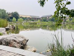 -诗经里