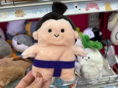 -秋叶原电器街