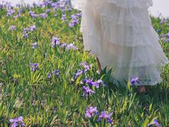 -白鹭湾湿地公园