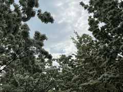 -泰丰公园