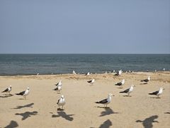 -那香海钻石沙滩浴场