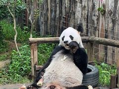 -深圳野生动物园