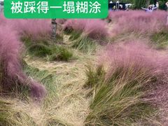 -嘉北郊野公园