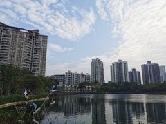 -四海公园(南山区)