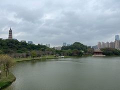 -顺峰山公园