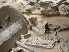 -洛阳周王城天子驾六博物馆