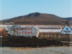 -金石滩蓝莓谷庄园