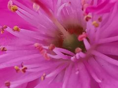 -长春公园(普阳街道)