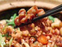-煲煲好(朝阳门店)